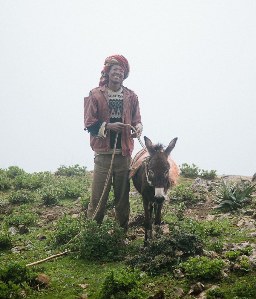 Local trekking guide and donkey in Wollo Highlands, Ethiopia